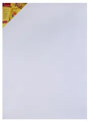 Холст на подрамнике 50*70, грунтованный, крупнозернистый, 100% лен