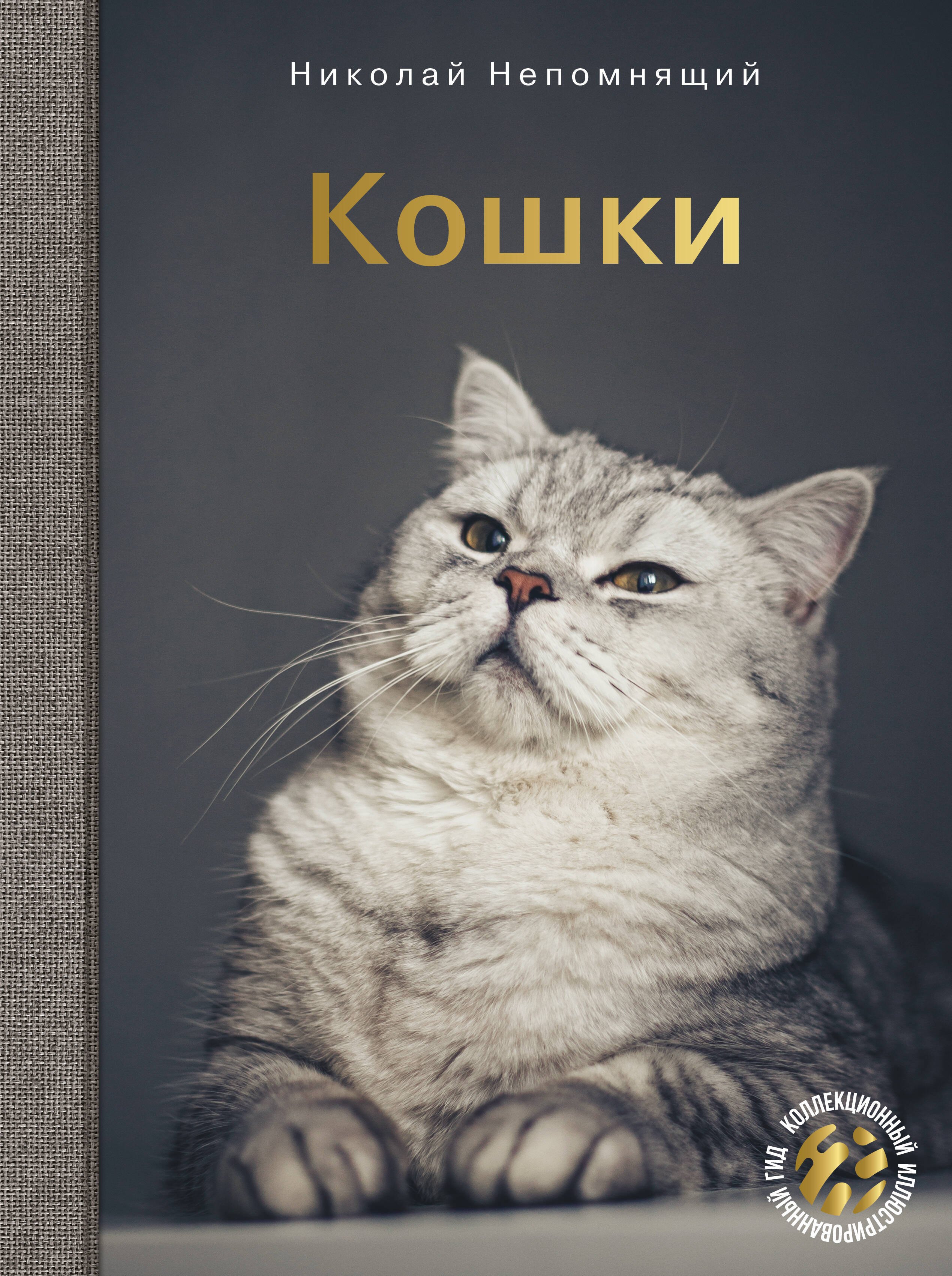 

Кошки