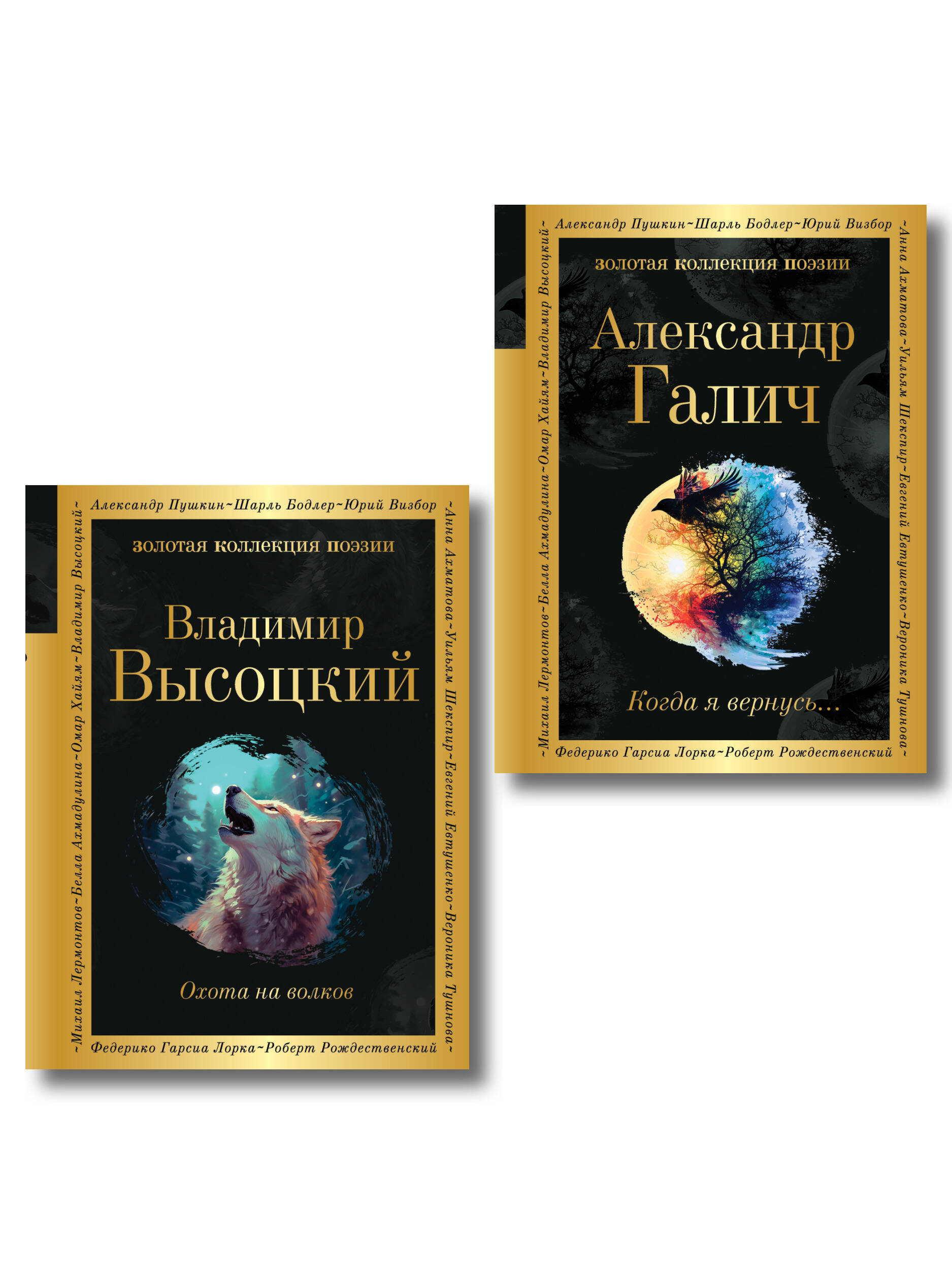 Обложка книги «Комплект Голоса поколения (из 2-х книг Высоцкий и Галич)»