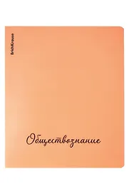 Тетрадь на кольцах «Neon. Обществознание» в ассортименте 48 листов в клетку - Erich Krause