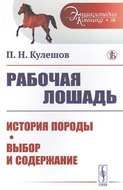 Рабочая лошадь: История породы. Выбор и содержание