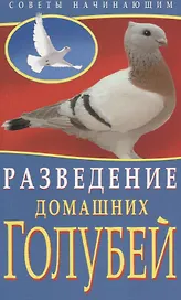 Разведение домашних голубей