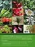 Комнатные растения: календарь по уходу на каждый месяц - 1
