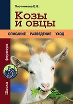 Козы и овцы