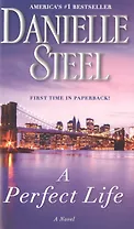 A Perfect Life (м) Steel