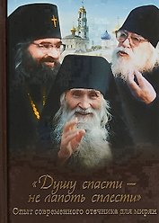 Душу спасти - не лапоть сплести: Опыт современного отечника для мирян