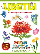Цветы
