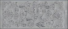 Контурные наклейки Подсолнухи (1.3471) (лист) (серебро) (10х23см)