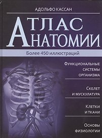 Атлас анатомии
