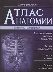 Атлас анатомии