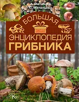 Большая энциклопедия грибника
