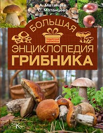 Большая энциклопедия грибника