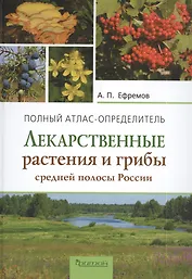 Лекарственные растения и грибы средней полосы России