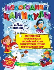 Новогодние каникулы в 3-м классе