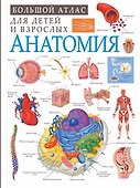 Анатомия - 0