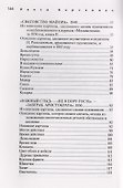 Федотов П.А. Комментарий к живописному тексту - 2