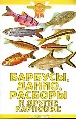 Барбусы, данио, расборы и другие карповые