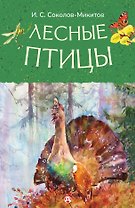Лесные птицы