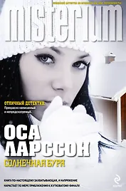 Солнечная буря : роман