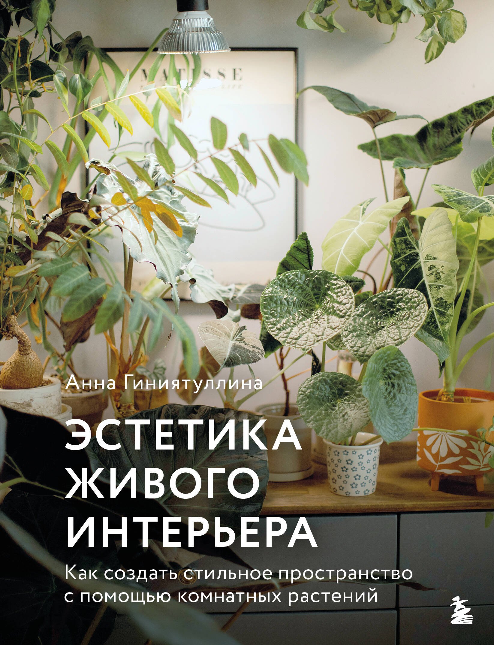 

Эстетика живого интерьера. Как создать стильное пространство с помощью комнатных растений