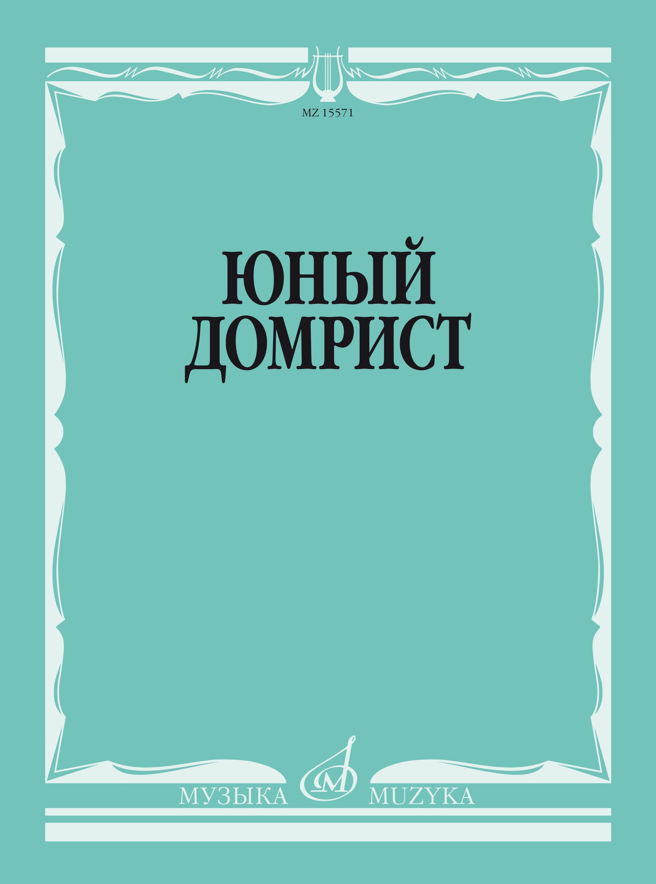 

Юный домрист