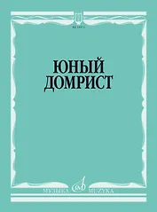 Юный домрист
