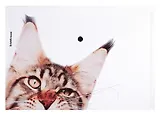 Папка-конверт А4 на кнопке "Hiding Cats", ассорти, ERICH KRAUSE