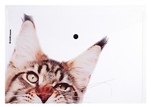 Папка -конверт «Hiding Cats» А4 на кнопке, в ассортименте, Erich Krause