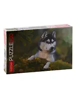 Пазл HATBER 500 эл. 460х340мм.Любимец