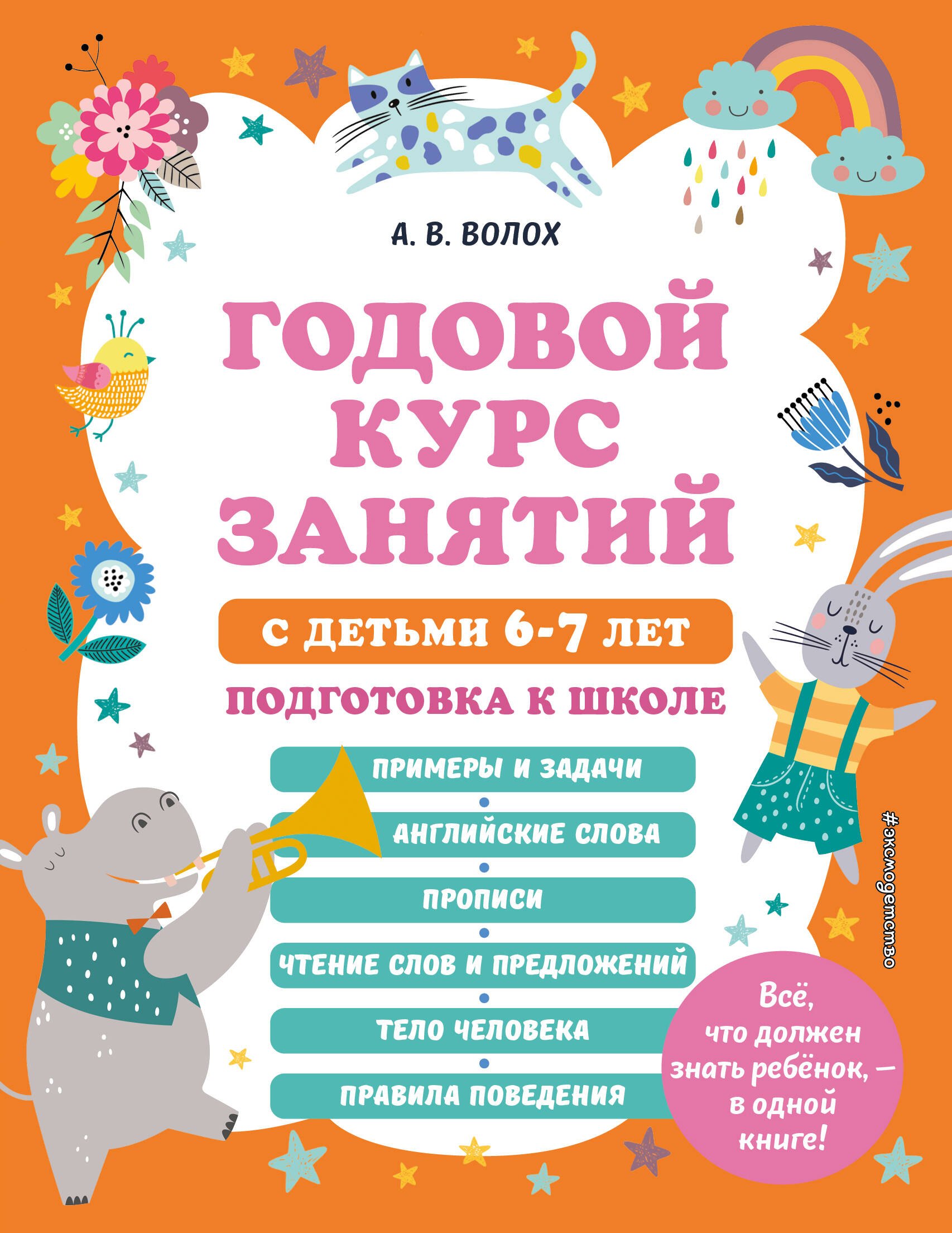 

Годовой курс занятий с детьми 6-7 лет. Подготовка к школе