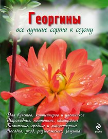 Георгины