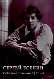 Собрание сочинений: В 3 томах. Том. 2