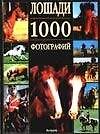 Лошади.1000 фотографий