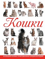 Кошки
