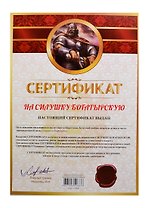 Сертификат на силушку богатырскую (SP0000009) (Мастер)