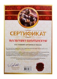 Сертификат «На силушку богатырскую», Мастер