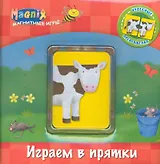 Магнитные игры. Играем в прятки