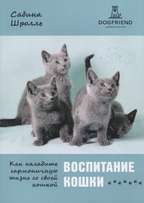 

Воспитание кошки. Как наладить гармоничную жизнь со своей кошкой