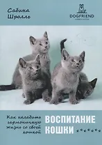 Воспитание кошки. Как наладить гармоничную жизнь со своей кошкой
