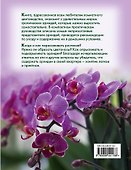 Прекрасные орхидеи, которые легко вырастить дома - 1