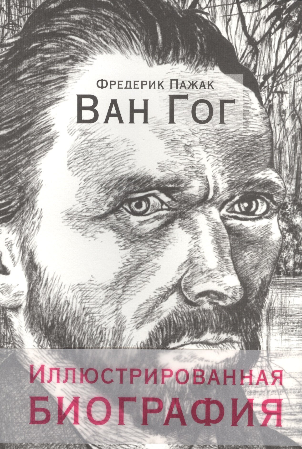 

Ван Гог. Иллюстрированная биография