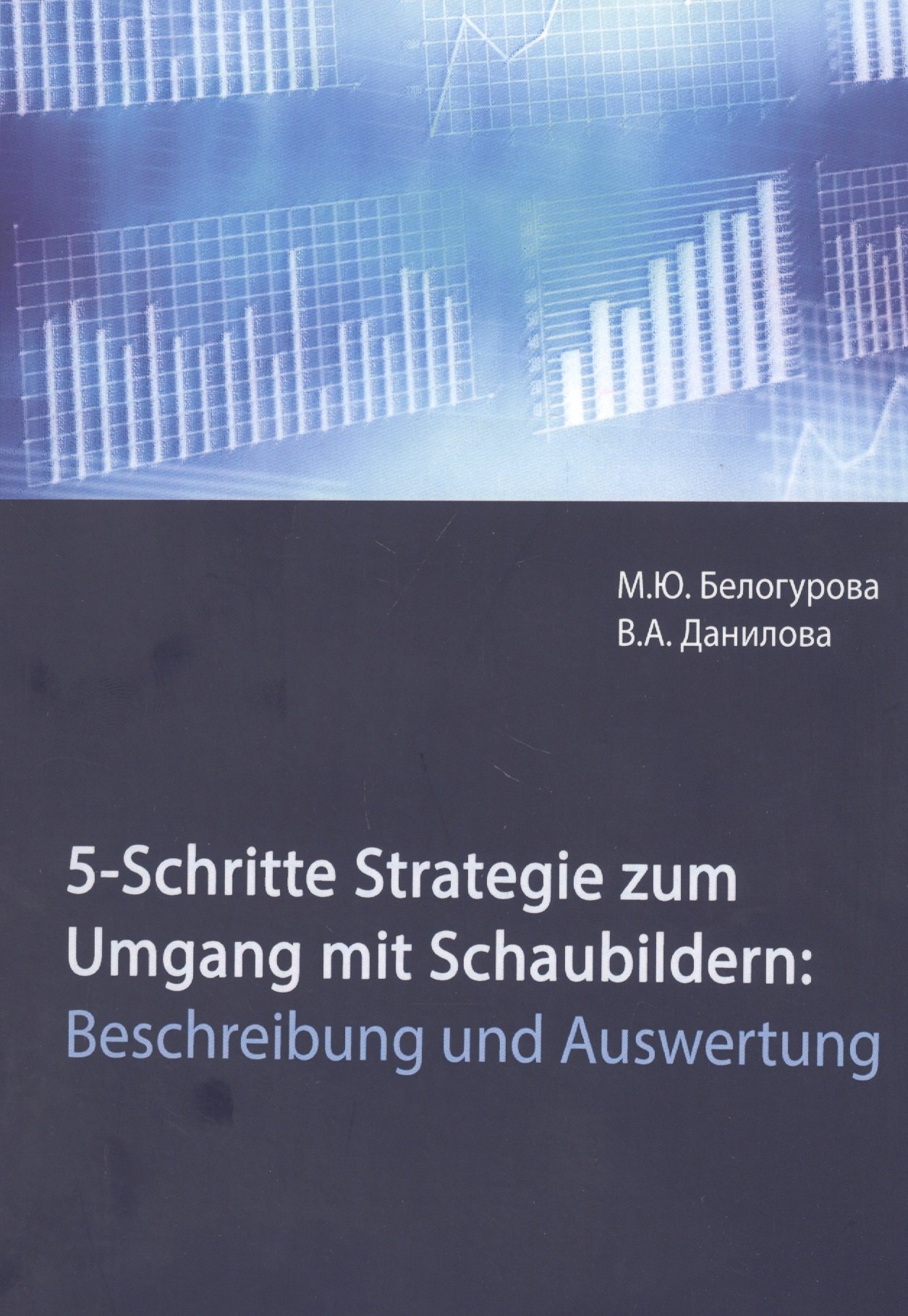 

5-Schritte-Strategie zum Umgang mit Schaubildern. Beschreibung und Auswertung. Учебное пособие