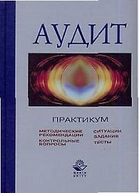 Аудит: Практикум. МЕтодические рекомендации, контрольные вопросы, ситуации, задания, тесты
