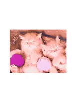 Холст с красками 17х22см по номерам, в коробке (13цв.) Маленькие котята с клубочками ниток (Арт. ХК-8156)