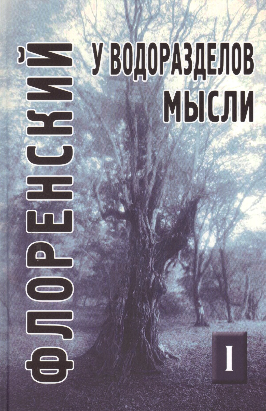 

У водоразделов мысли (Черты конкретной метафизики). Том 1