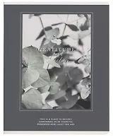 Тетрадь в клетку Be Smart, "Botanica. Эвкалипт популус", 48 листов