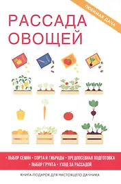 Рассада овощей