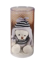 Мишка в шапке в тубусе Счастье (19см)