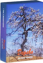 Дерево как образ человека Метафорические карты (12+) Кац (коробка) (упаковка)