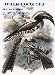 Птицы-носороги. Набор открыток
